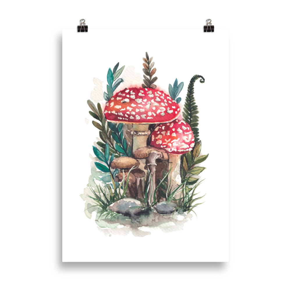 Plakat z ilustracijo praproti in mušnic (21×30, 40×50 ali 50×70, barva zelena, rdeča)