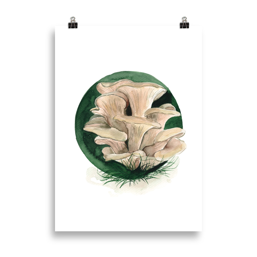 Umetniški plakat z ostrigarji v krožni kompoziciji (21×30, 40×50 ali 50×70, barva siva in zelena)